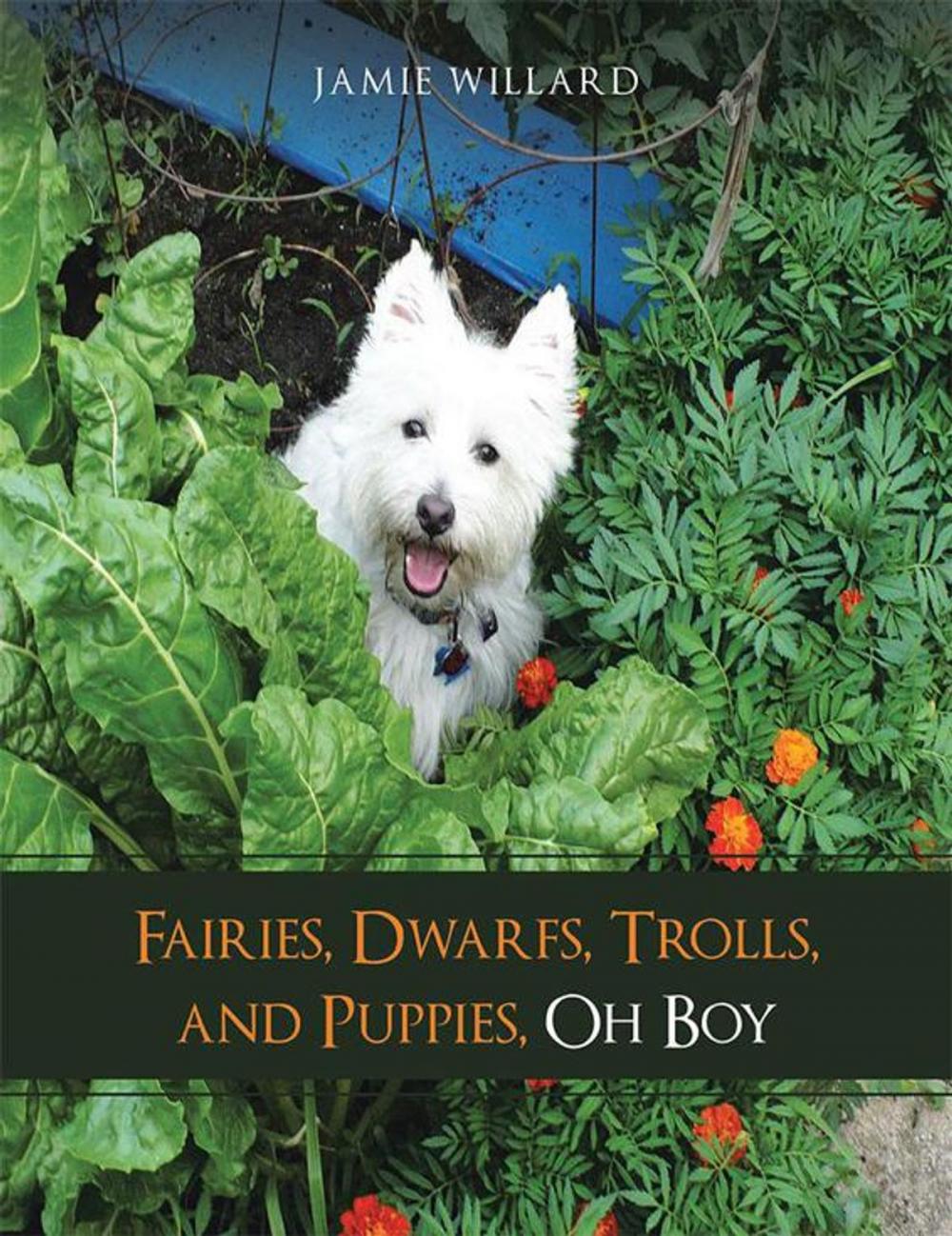 Big bigCover of Fairies, Dwarfs, Trolls, and Puppies, Oh Boy