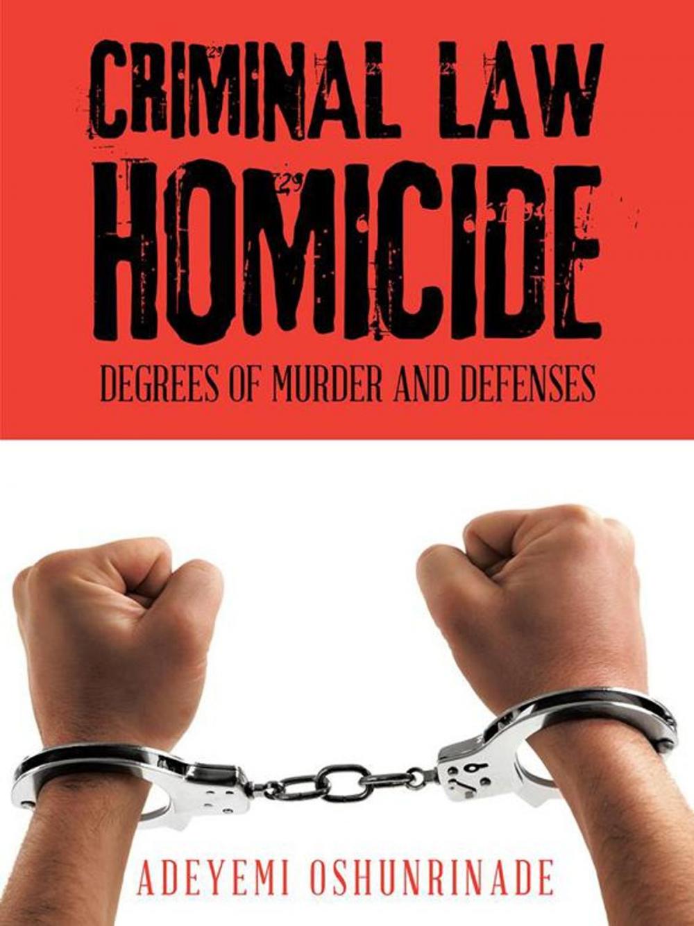 Big bigCover of Criminal Law Homicide