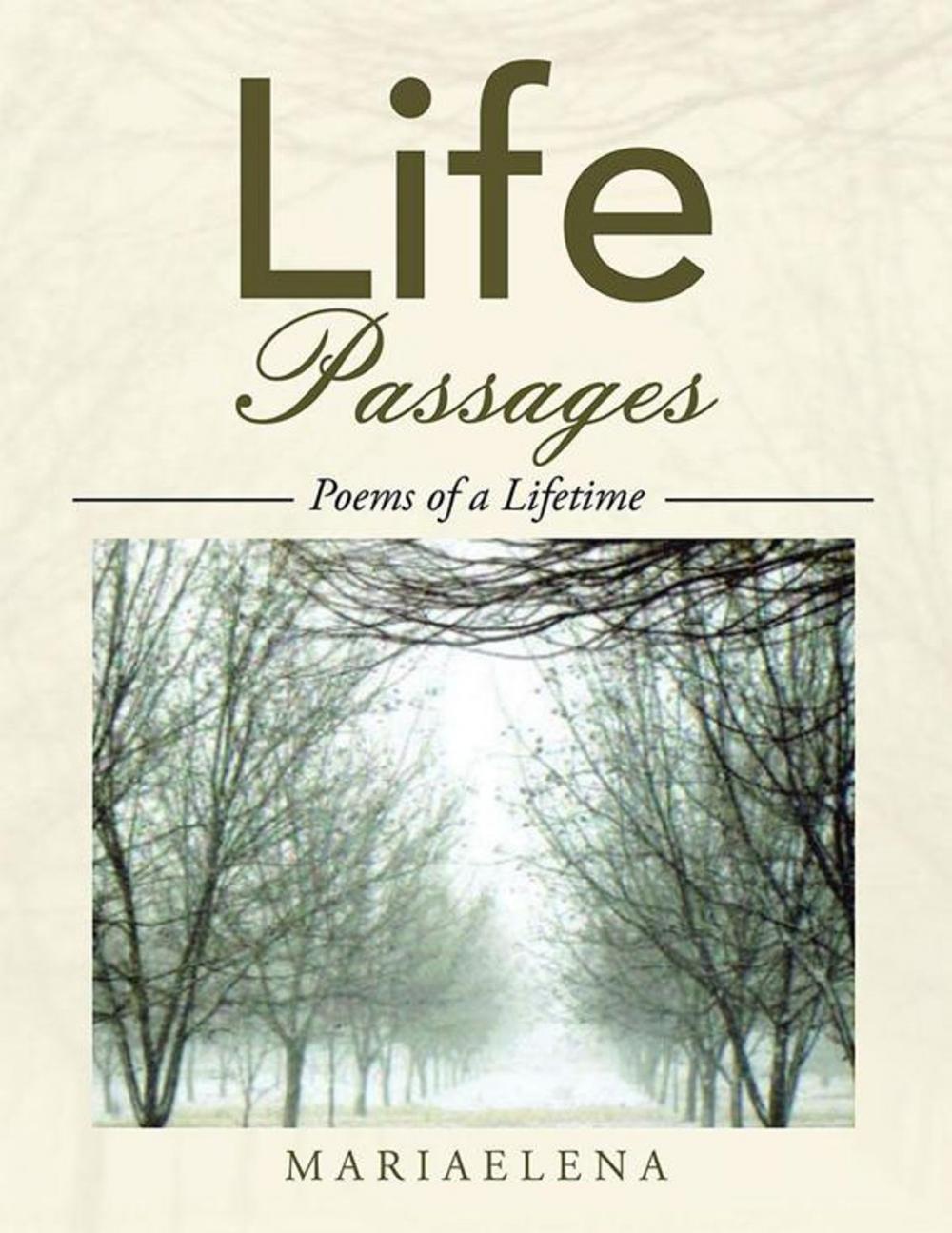 Big bigCover of Life Passages