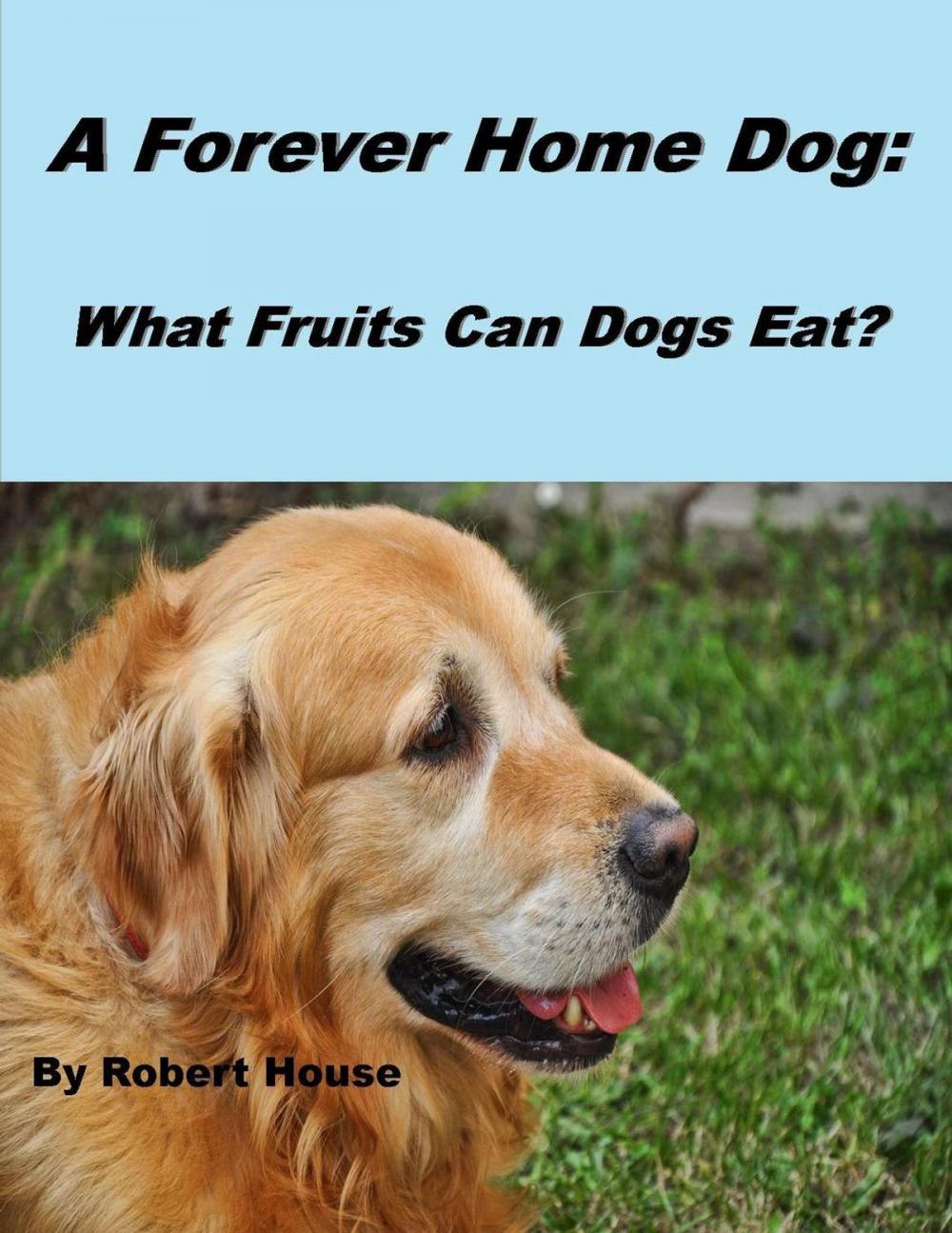 Big bigCover of A Forever Home Dog:What Fruits Can Dogs Eat?