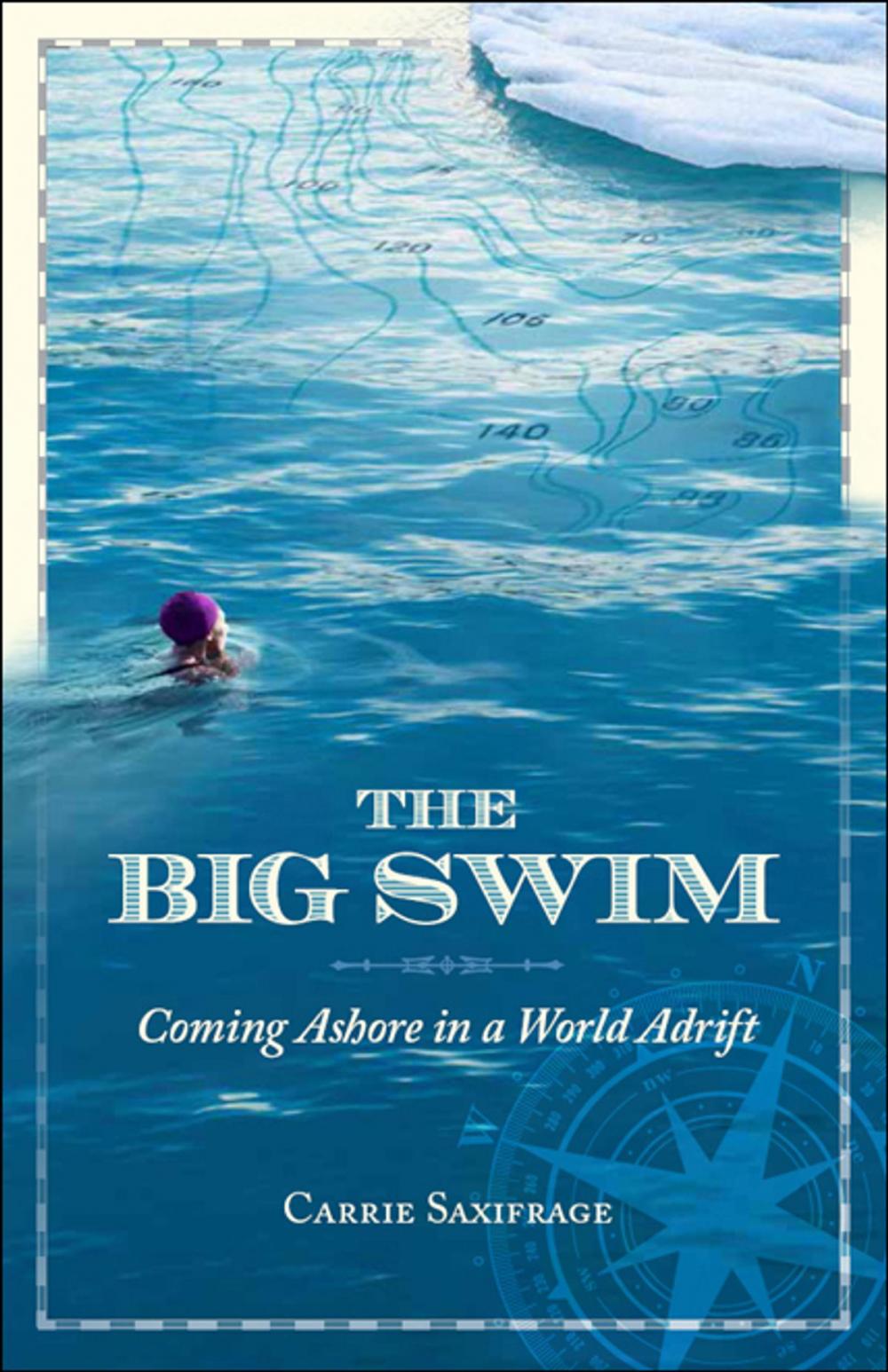 Big bigCover of The Big Swim