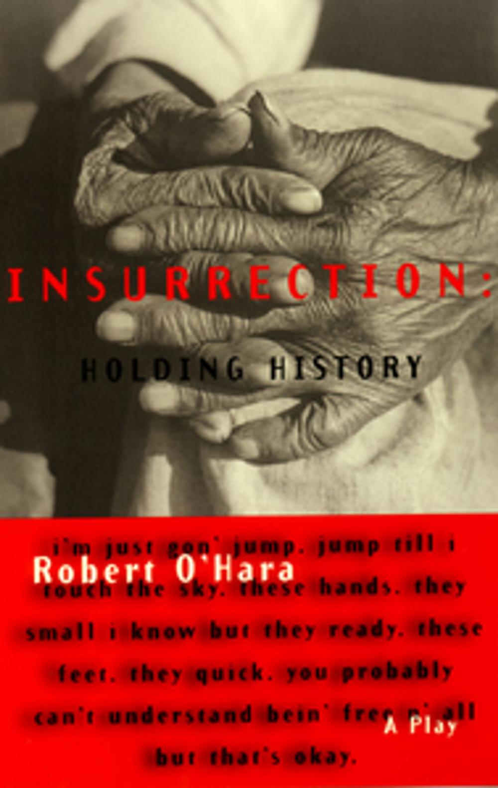 Big bigCover of Insurrection: Holding History