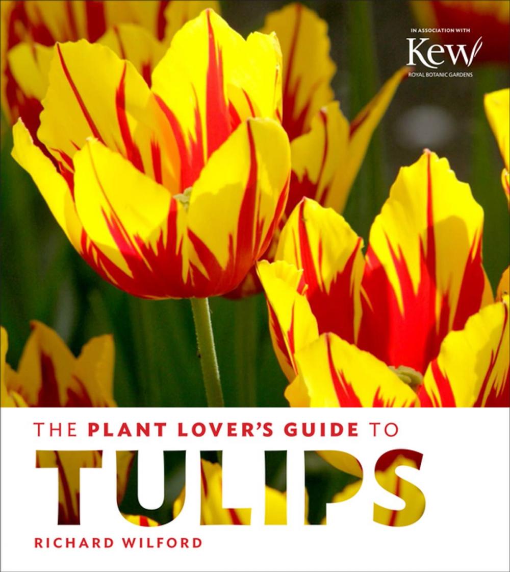 Big bigCover of The Plant Lover's Guide to Tulips