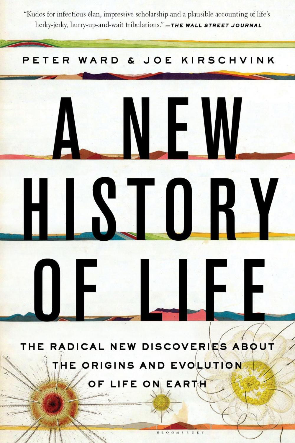 Big bigCover of A New History of Life