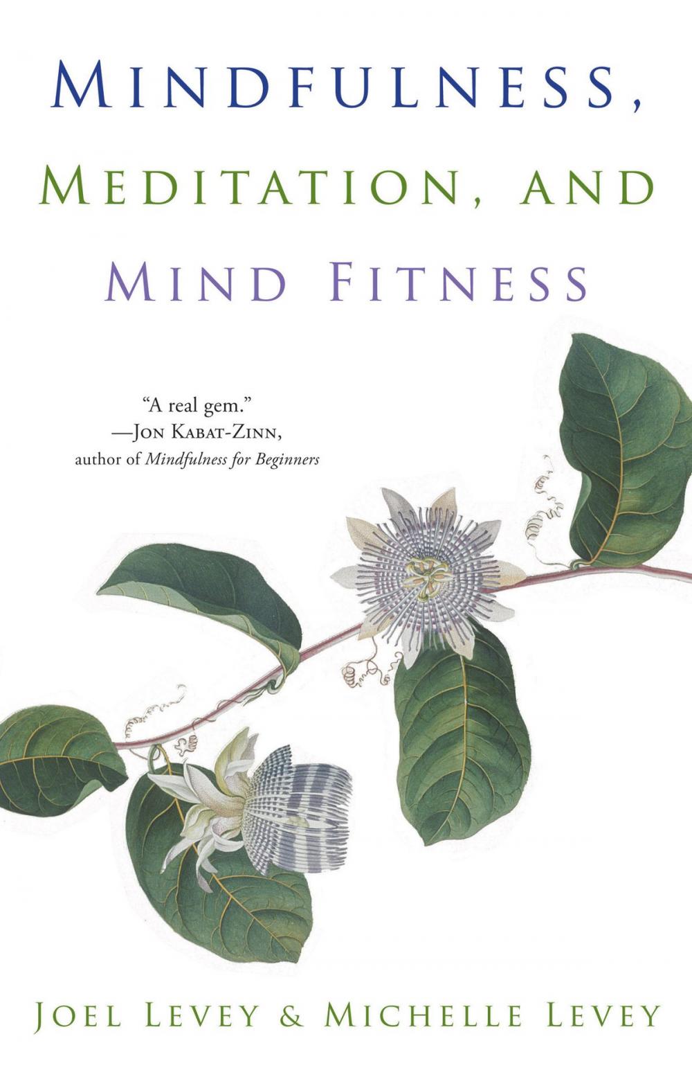 Big bigCover of Mindfulness, Meditation, and Mind Fitness