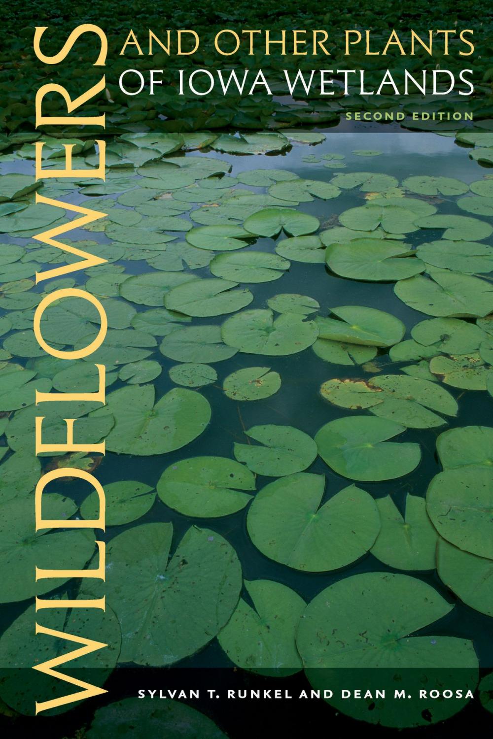 Big bigCover of Wildflowers and Other Plants of Iowa Wetlands, 2nd edition