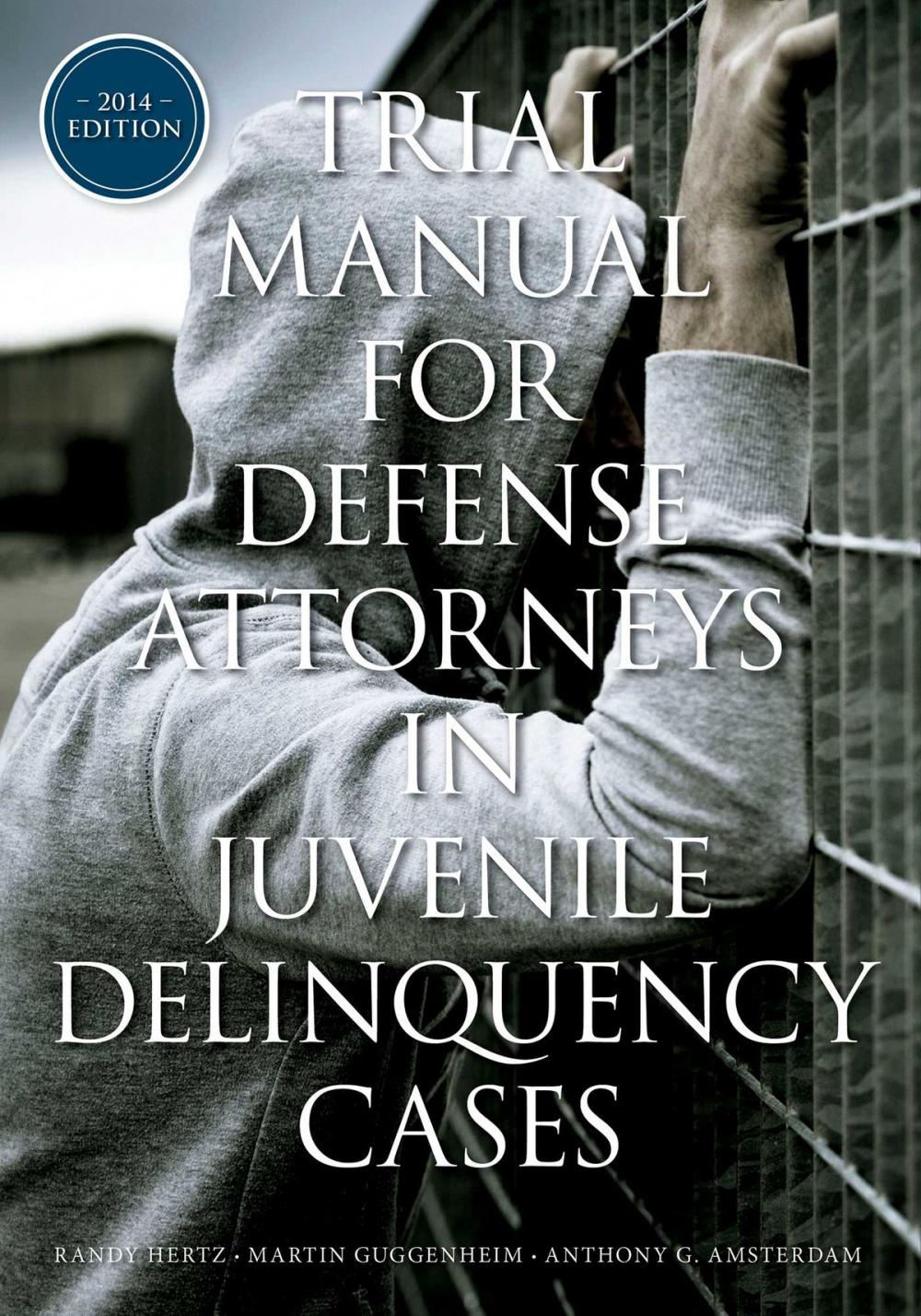 Big bigCover of Trial Manual for Defense Attorneys in Juvenile Delinquency Cases
