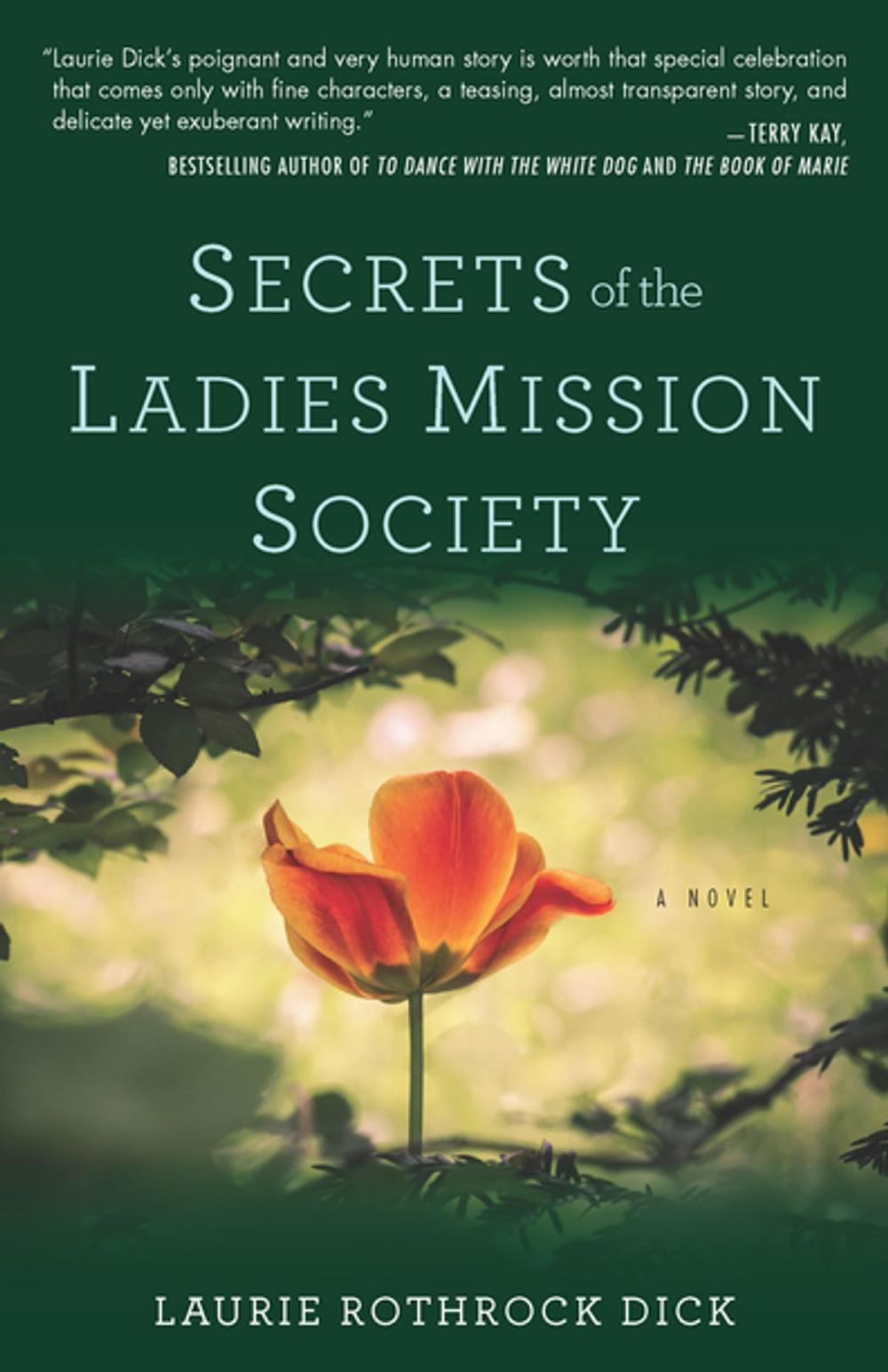 Big bigCover of Secrets of the Ladies Mission Society