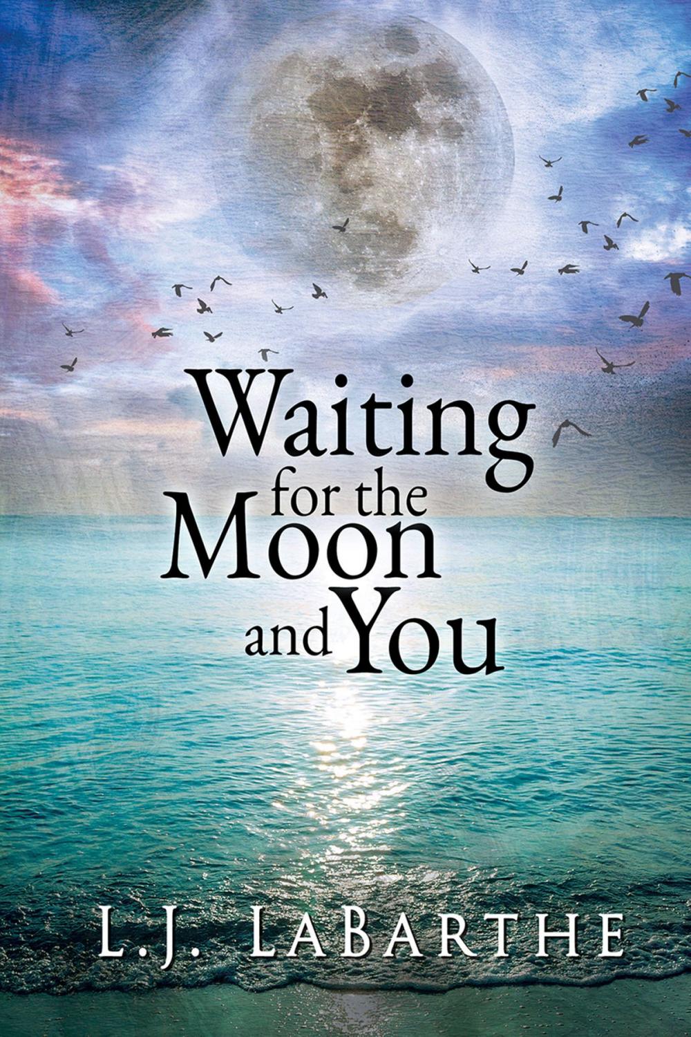 Big bigCover of Waiting for the Moon and You