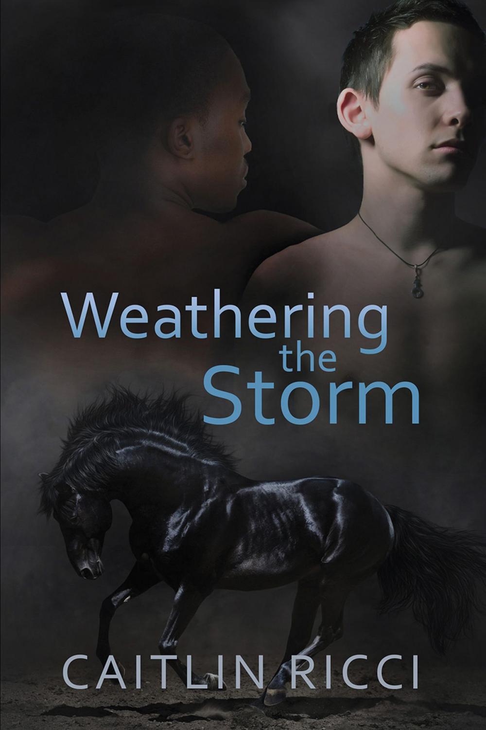 Big bigCover of Weathering the Storm