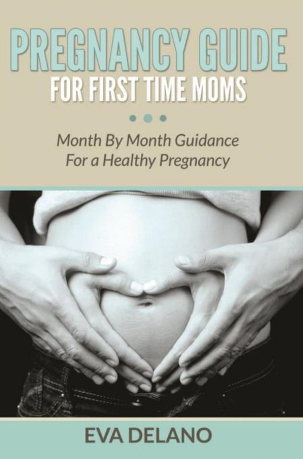 Big bigCover of Pregnancy Guide For First Time Moms