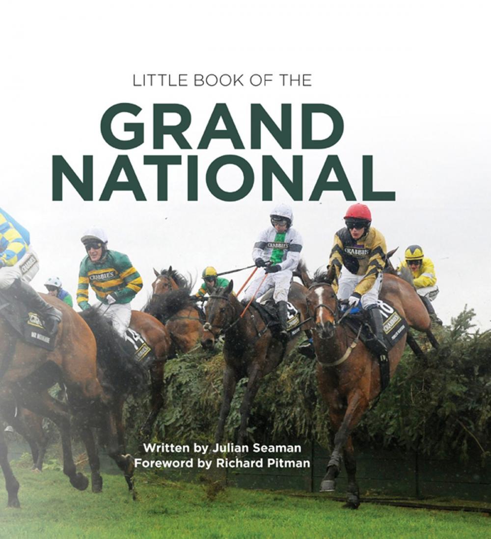 Big bigCover of Little Book of the Grand National