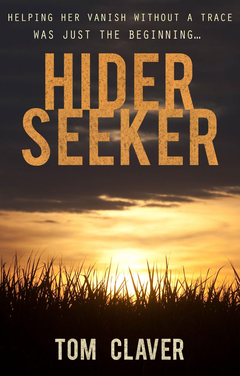 Big bigCover of Hider/Seeker