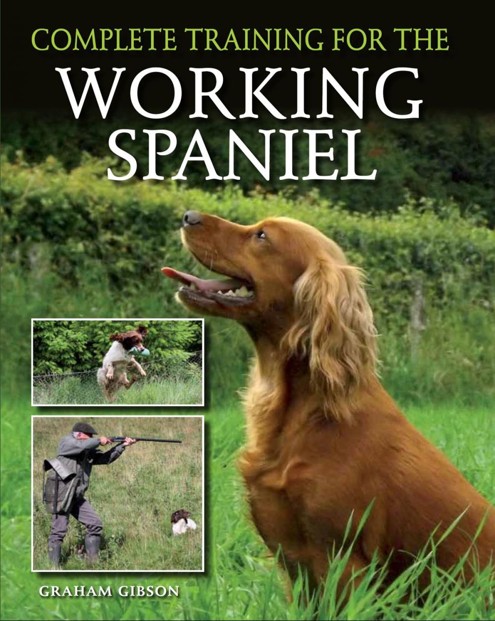 Big bigCover of Complete Training for the Working Spaniel