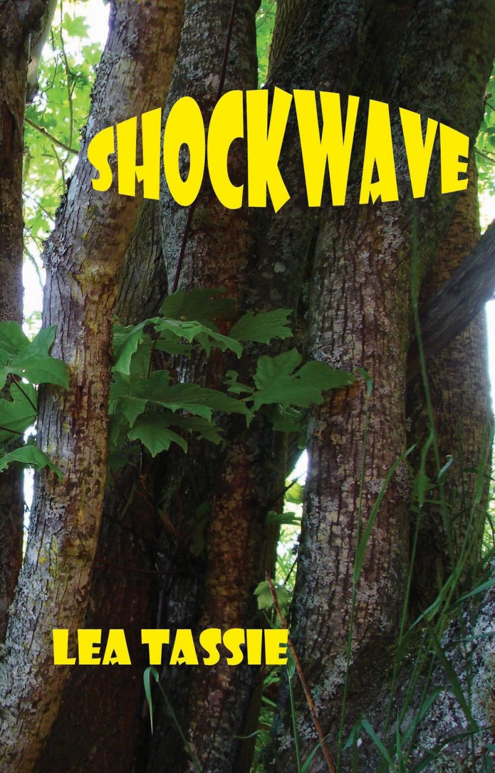 Big bigCover of Shockwave