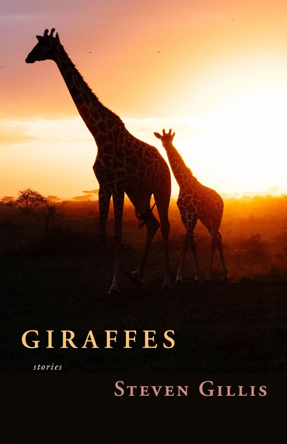 Big bigCover of Giraffes and Other Stories