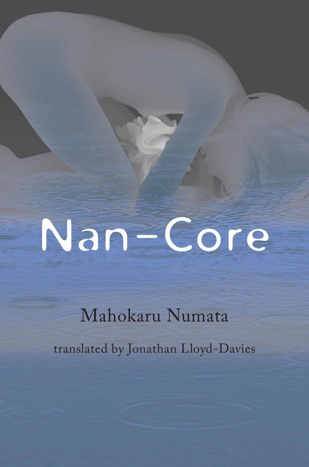 Big bigCover of Nan-Core