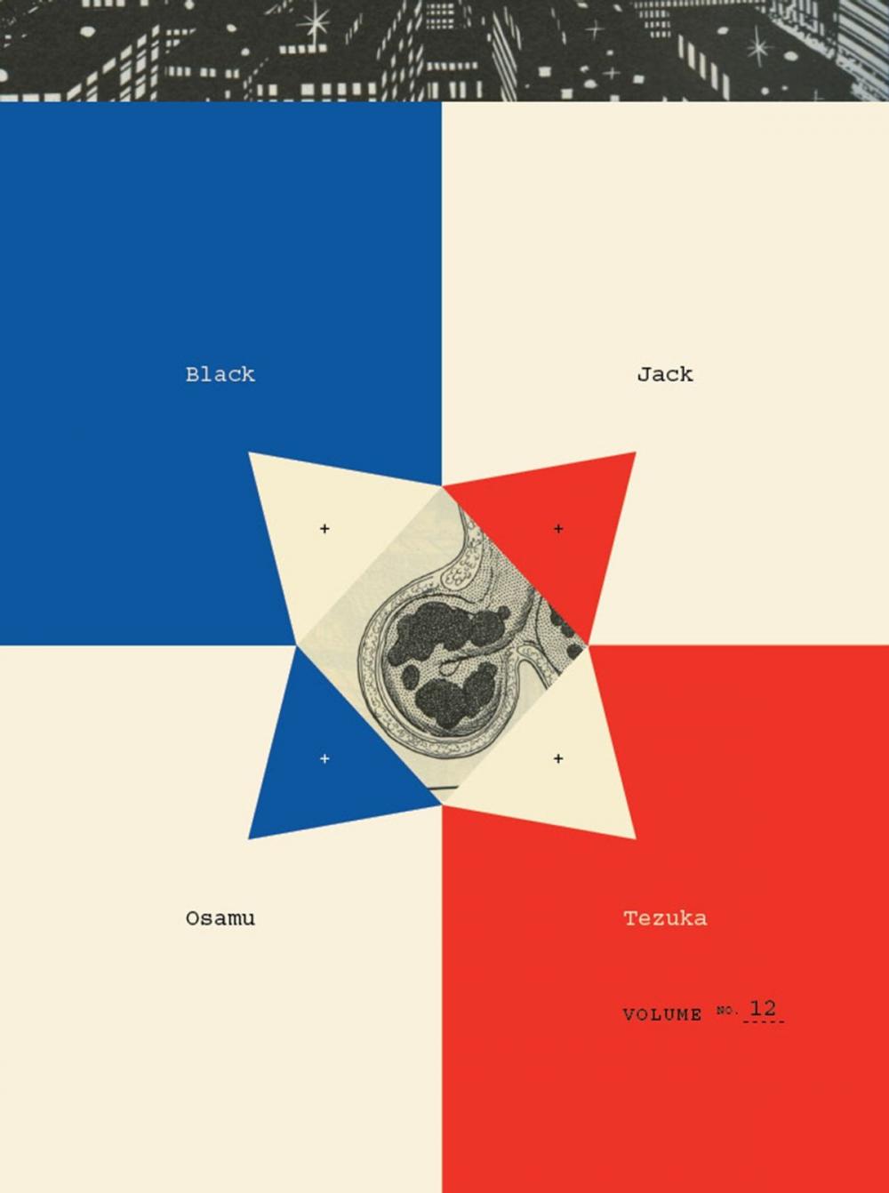 Big bigCover of Black Jack, Volume 12