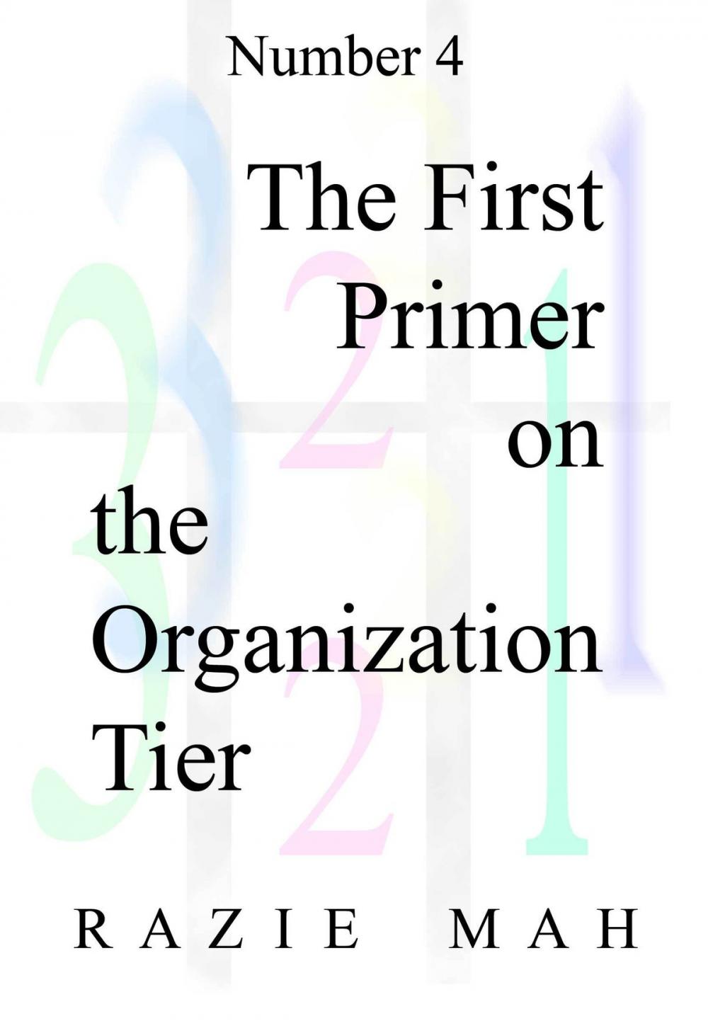 Big bigCover of The First Primer on the Organization Tier