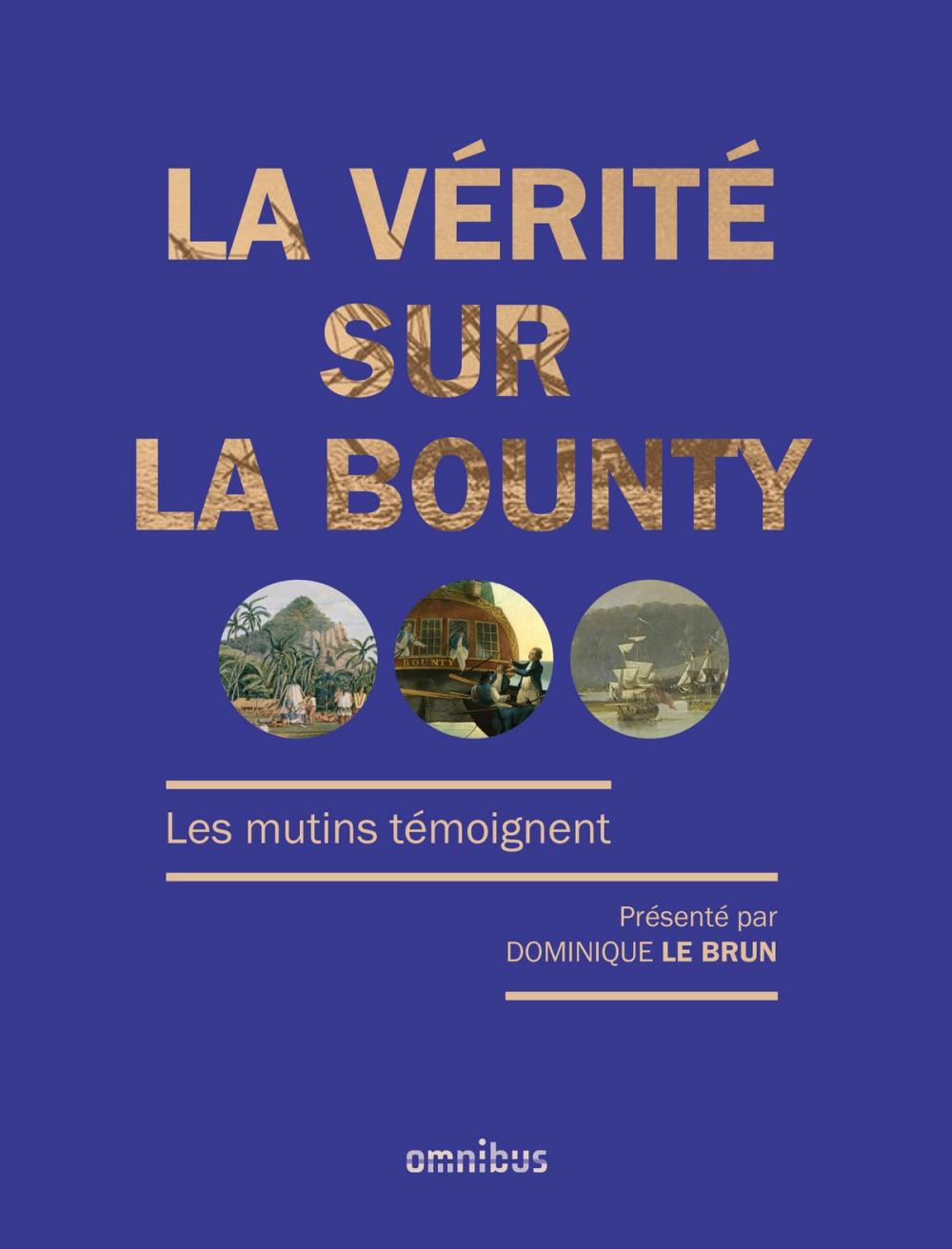 Big bigCover of La vérité sur la Bounty