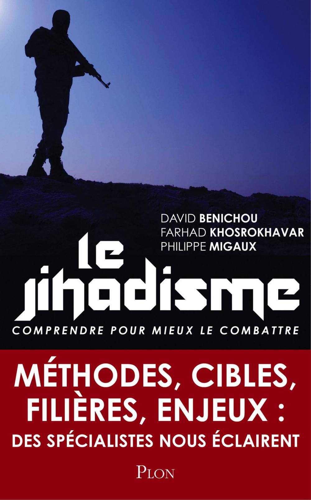 Big bigCover of Le jihadisme