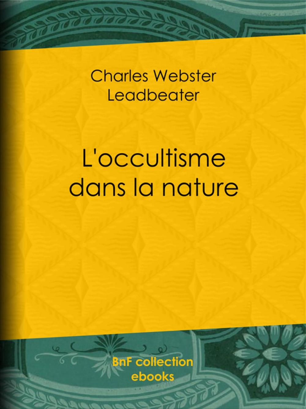 Big bigCover of L'Occultisme dans la nature