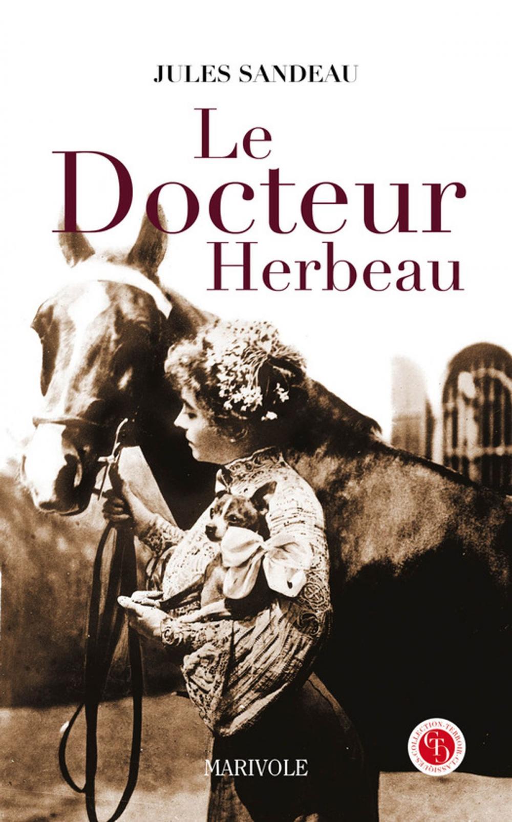 Big bigCover of Le Docteur Herbeau