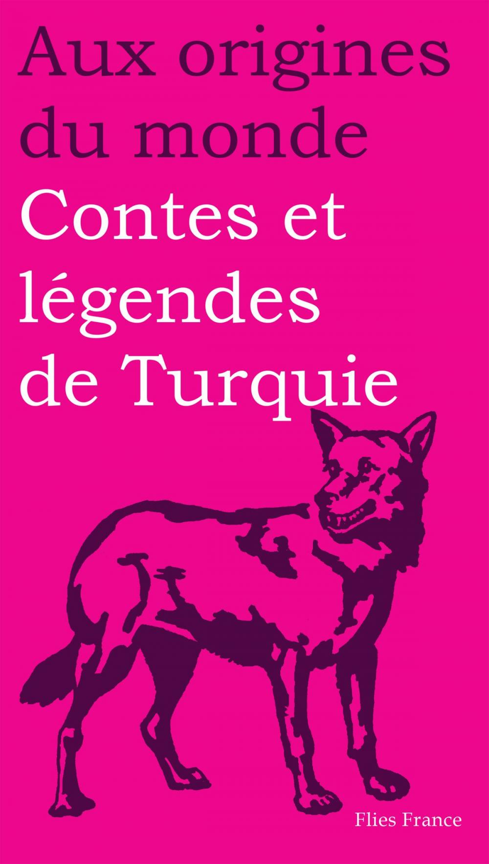 Big bigCover of Contes et légendes de Turquie