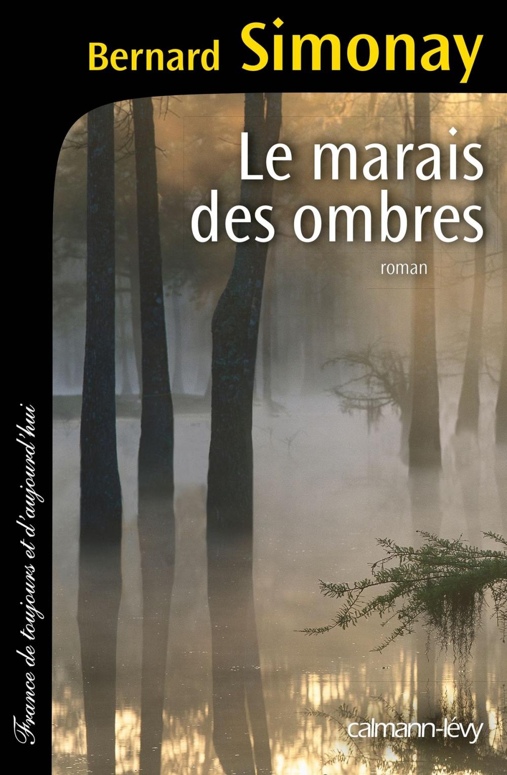 Big bigCover of Le Marais des ombres