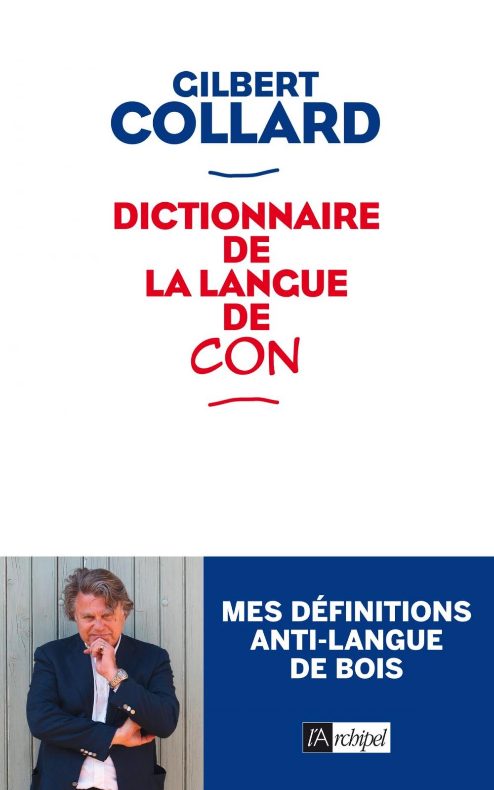 Big bigCover of Dictionnaire de la langue de con