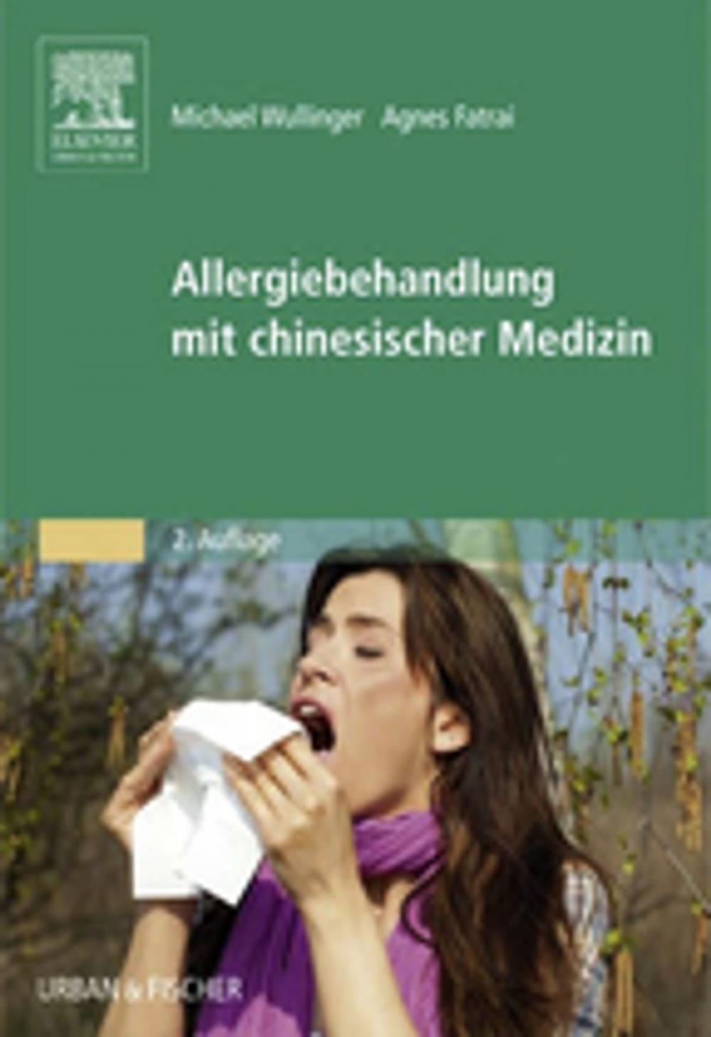 Big bigCover of Allergiebehandlung mit chinesischer Medizin