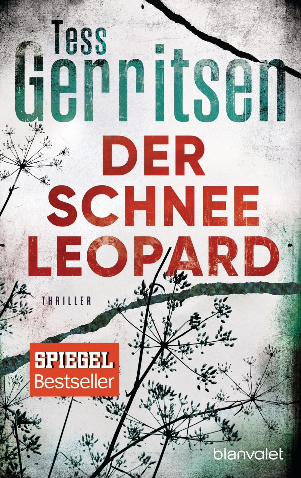 Big bigCover of Der Schneeleopard