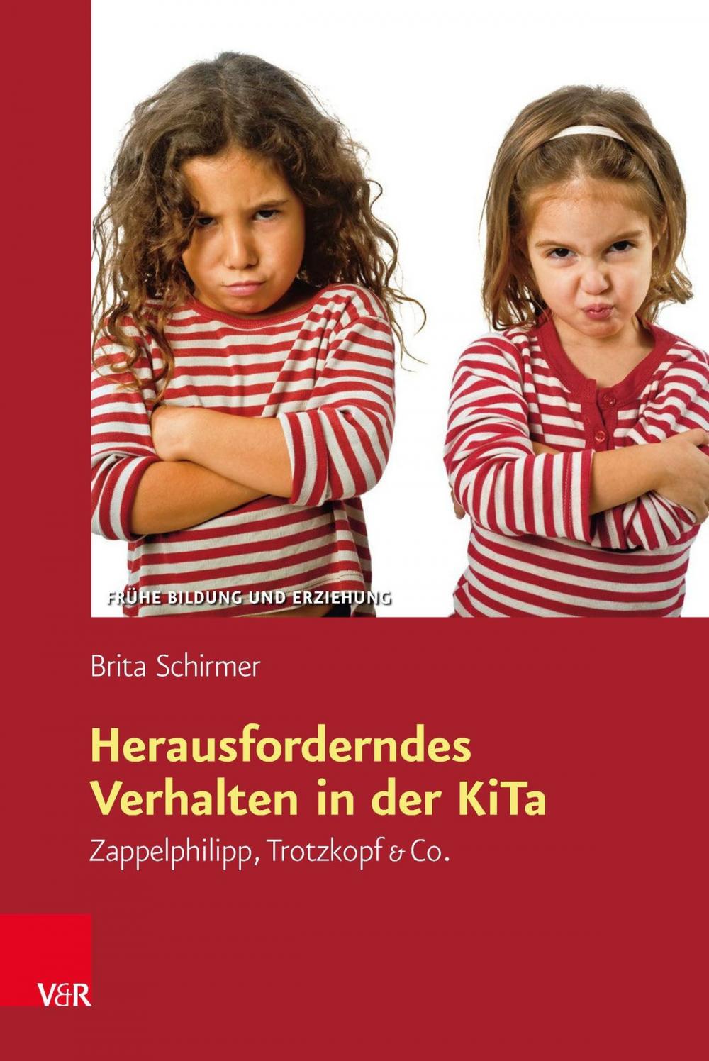 Big bigCover of Herausforderndes Verhalten in der KiTa