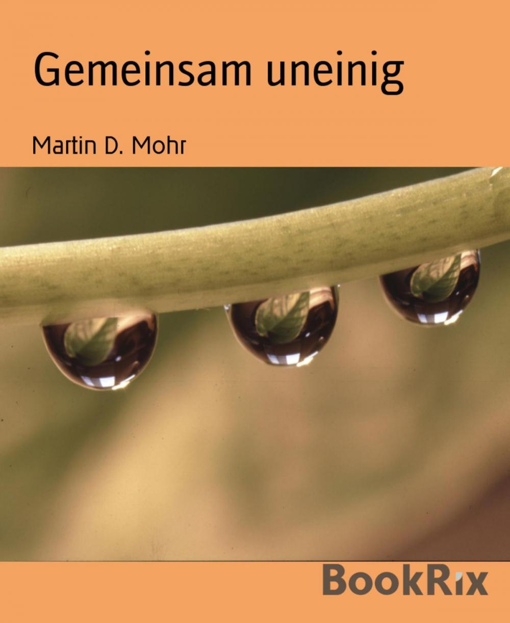 Big bigCover of Gemeinsam uneinig