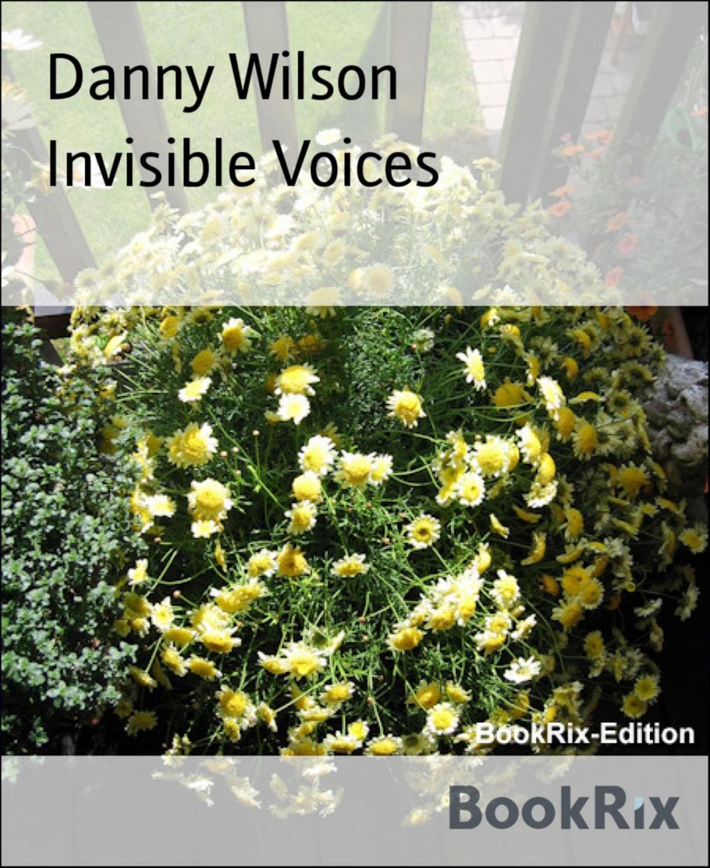 Big bigCover of Invisible Voices