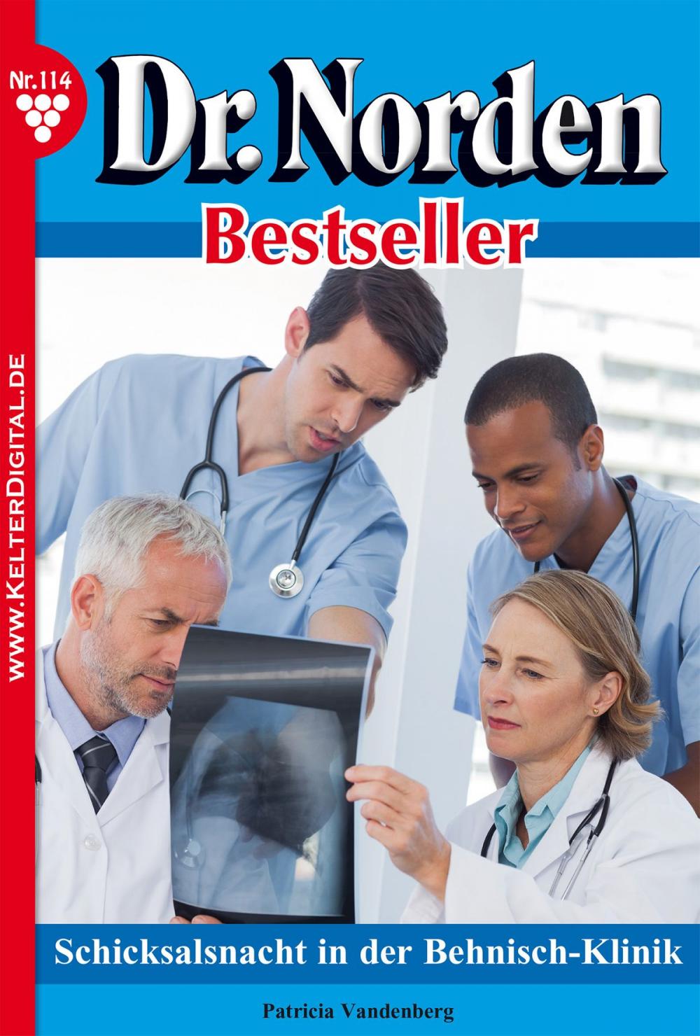 Big bigCover of Dr. Norden Bestseller 114 – Arztroman