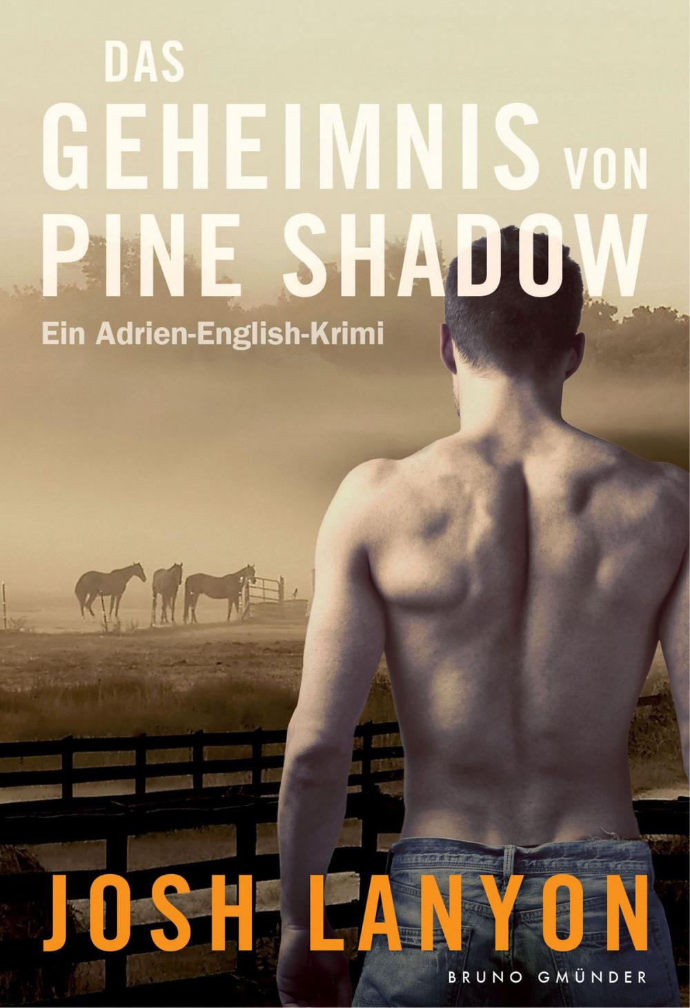 Big bigCover of Das Geheimnis von Pine Shadow