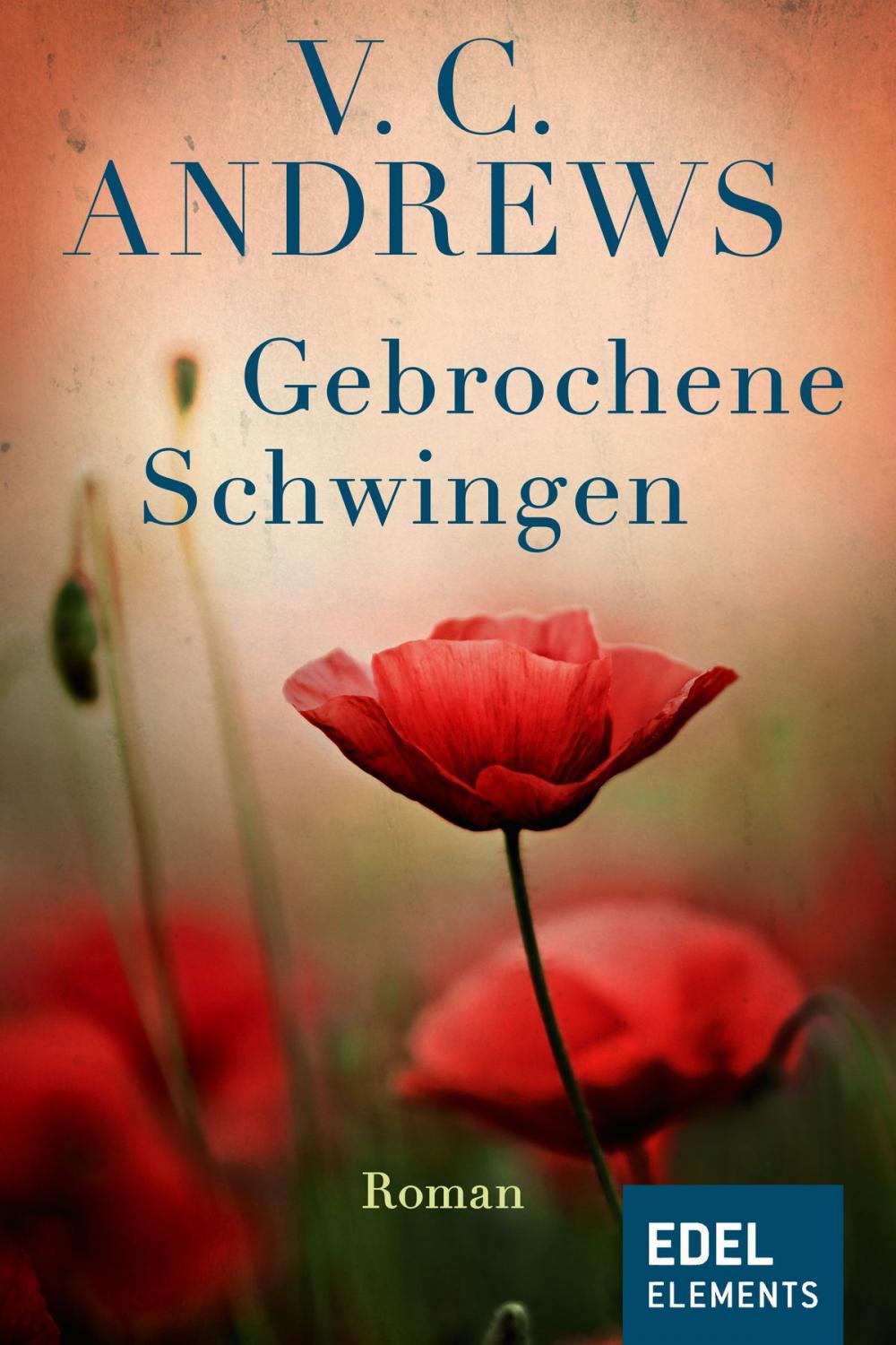 Big bigCover of Gebrochene Schwingen