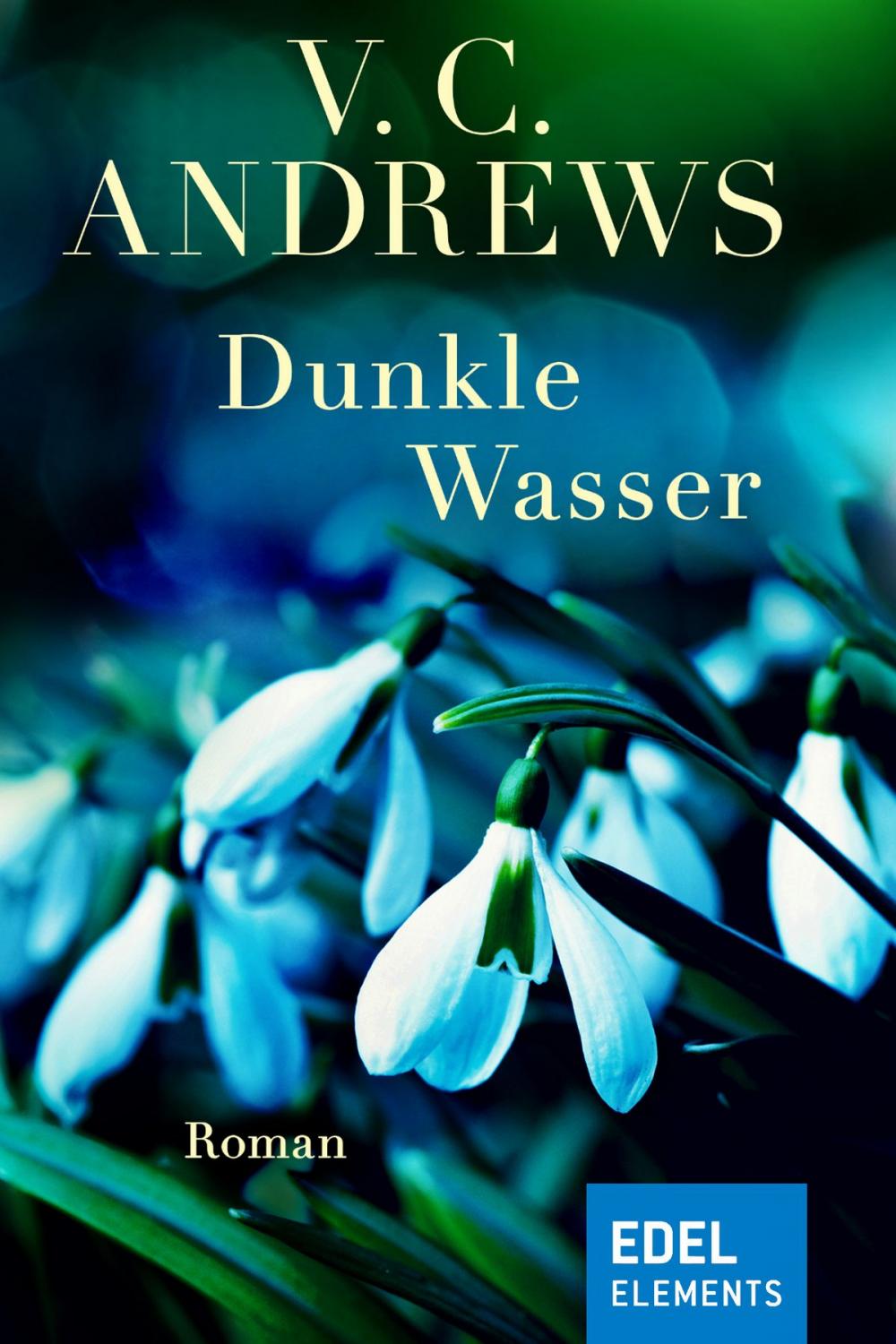 Big bigCover of Dunkle Wasser