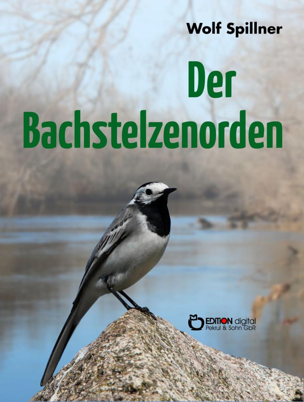 Big bigCover of Der Bachstelzenorden