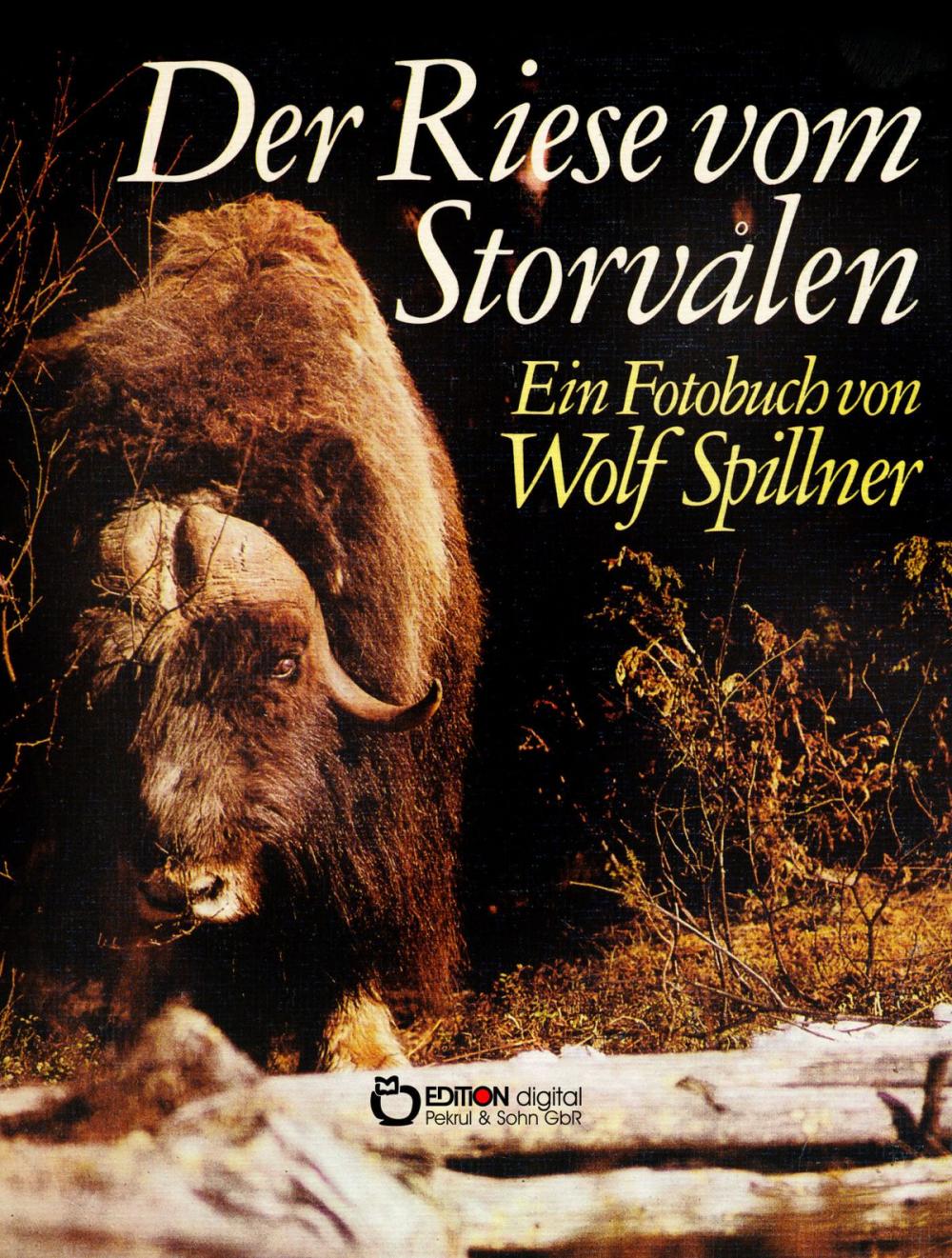 Big bigCover of Der Riese vom Storvalen