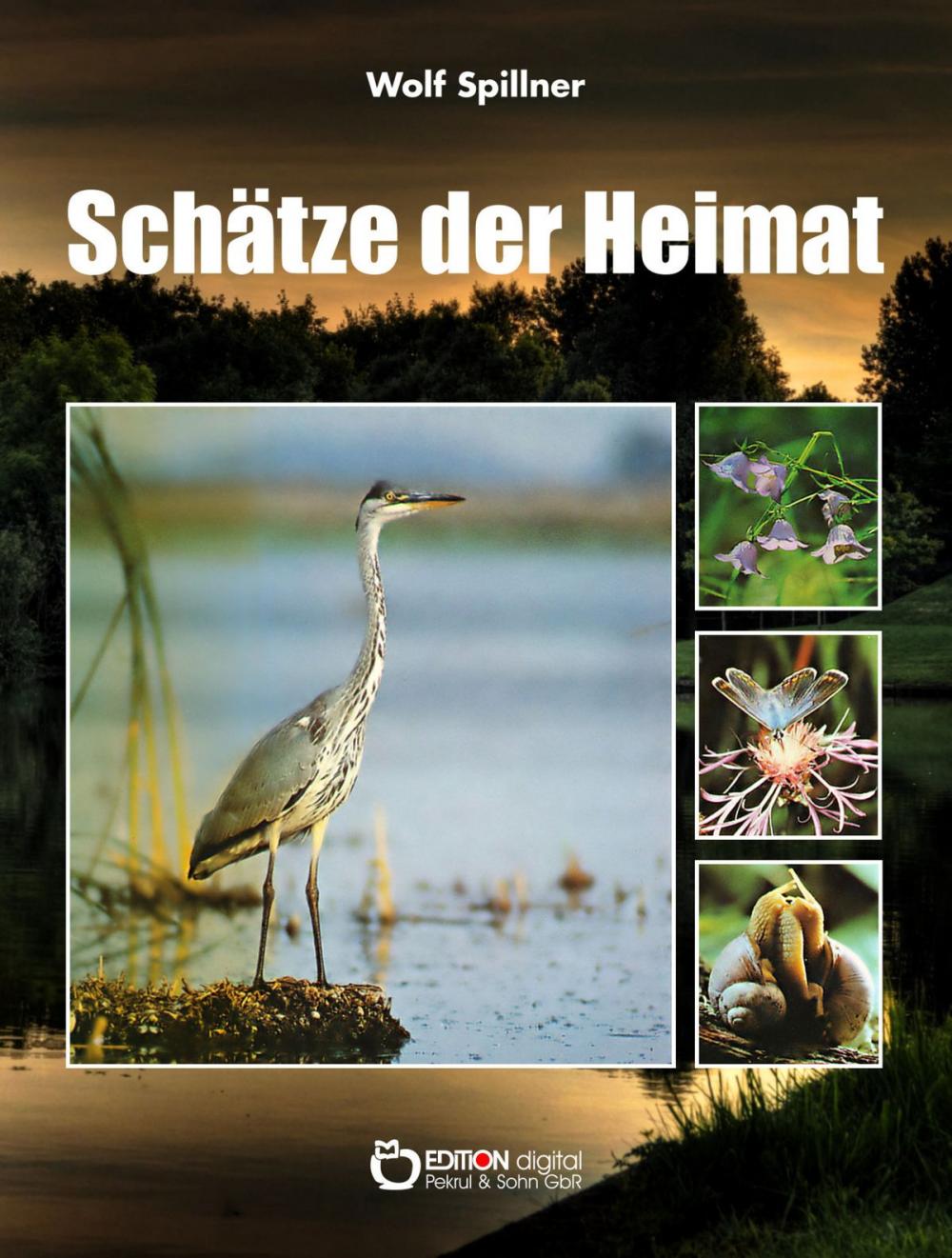 Big bigCover of Schätze der Heimat