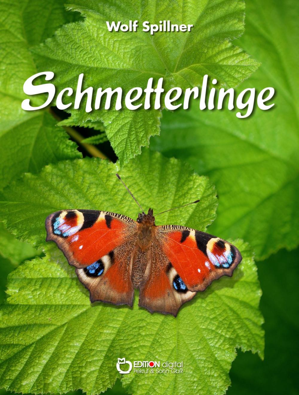 Big bigCover of Schmetterlinge