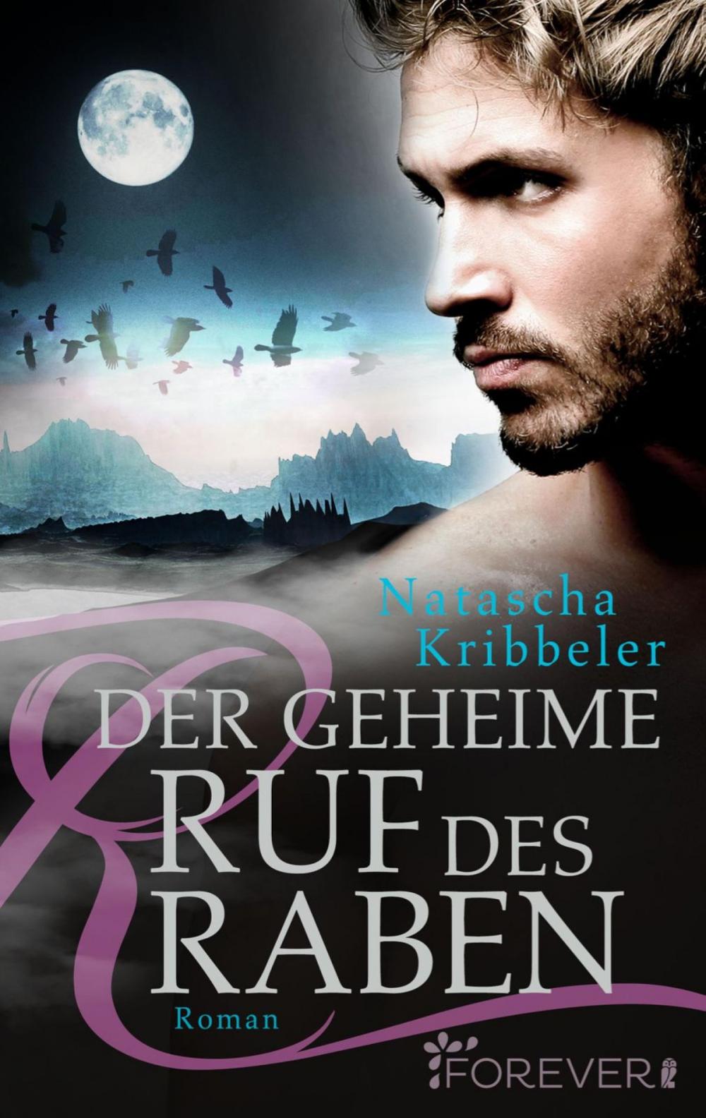 Big bigCover of Der geheime Ruf des Raben