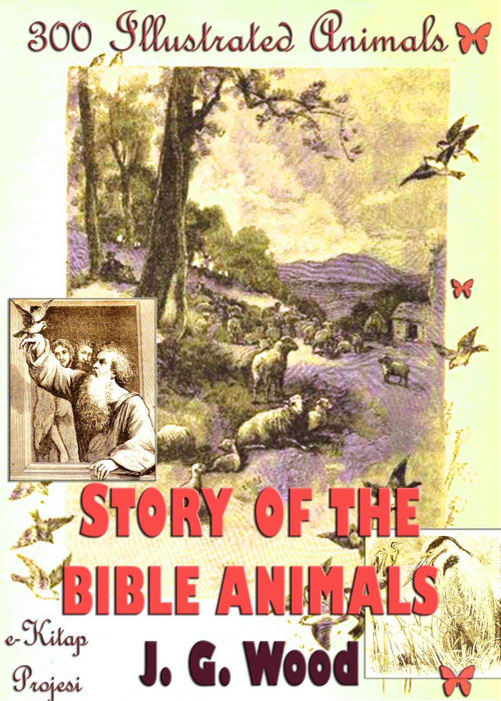 Big bigCover of Story of the Bible Animals