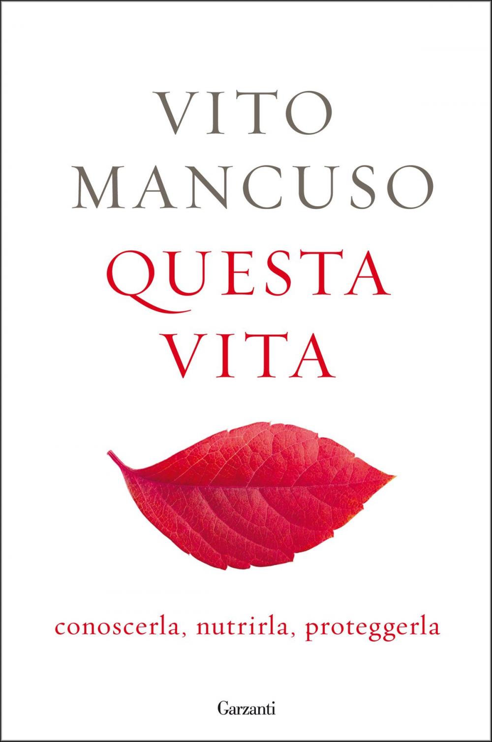 Big bigCover of Questa vita