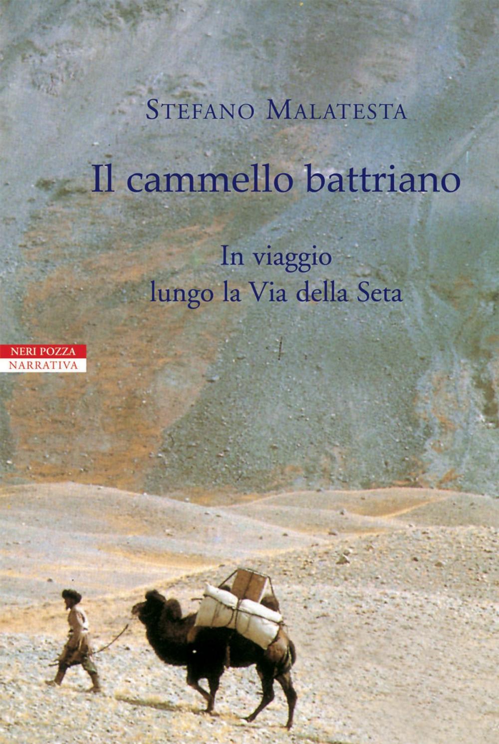 Big bigCover of Il cammello battriano