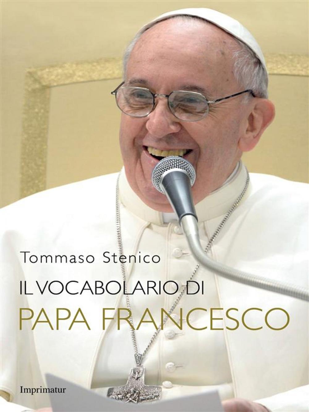 Big bigCover of Il vocabolario di Papa Francesco