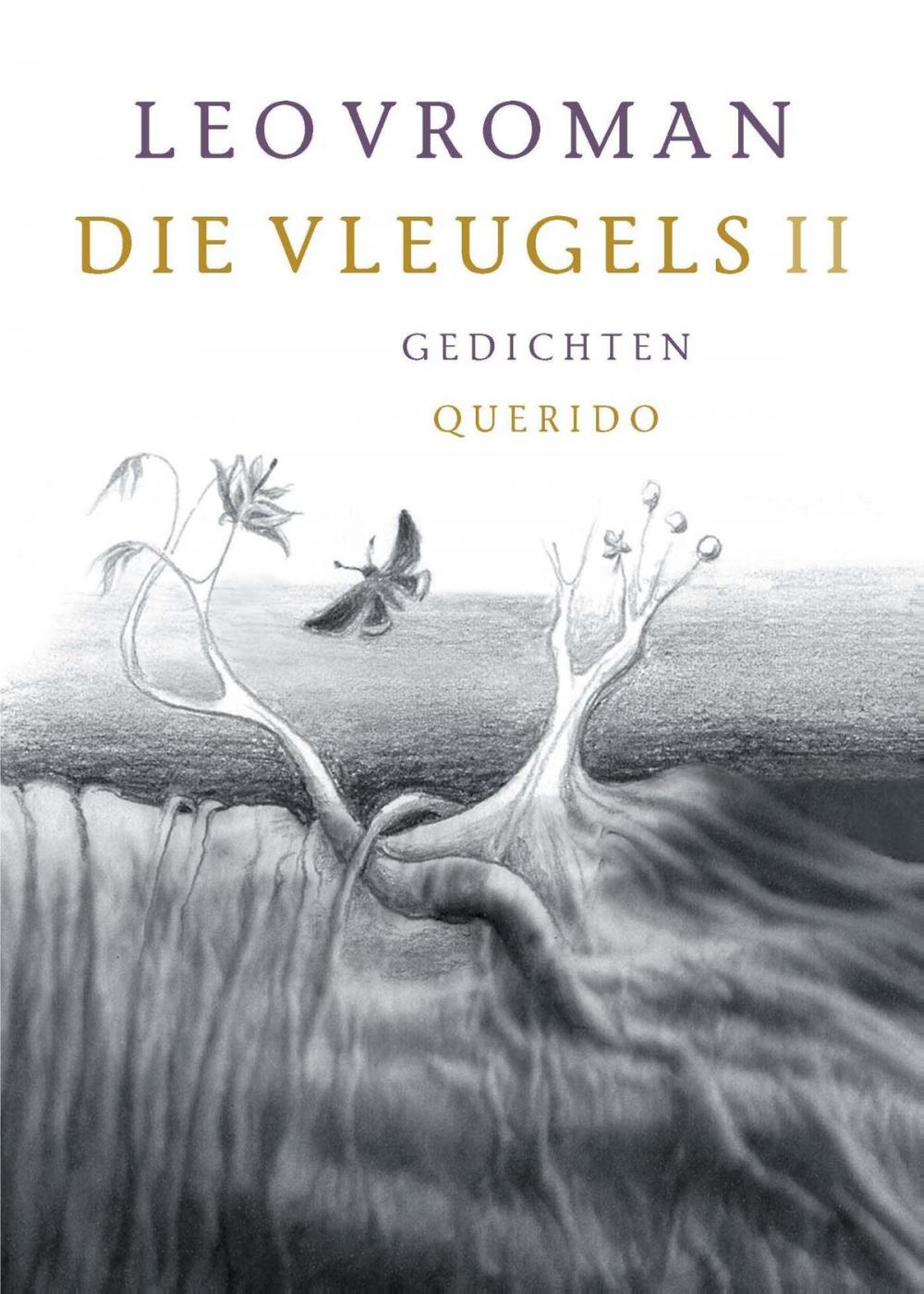 Big bigCover of Die vleugels