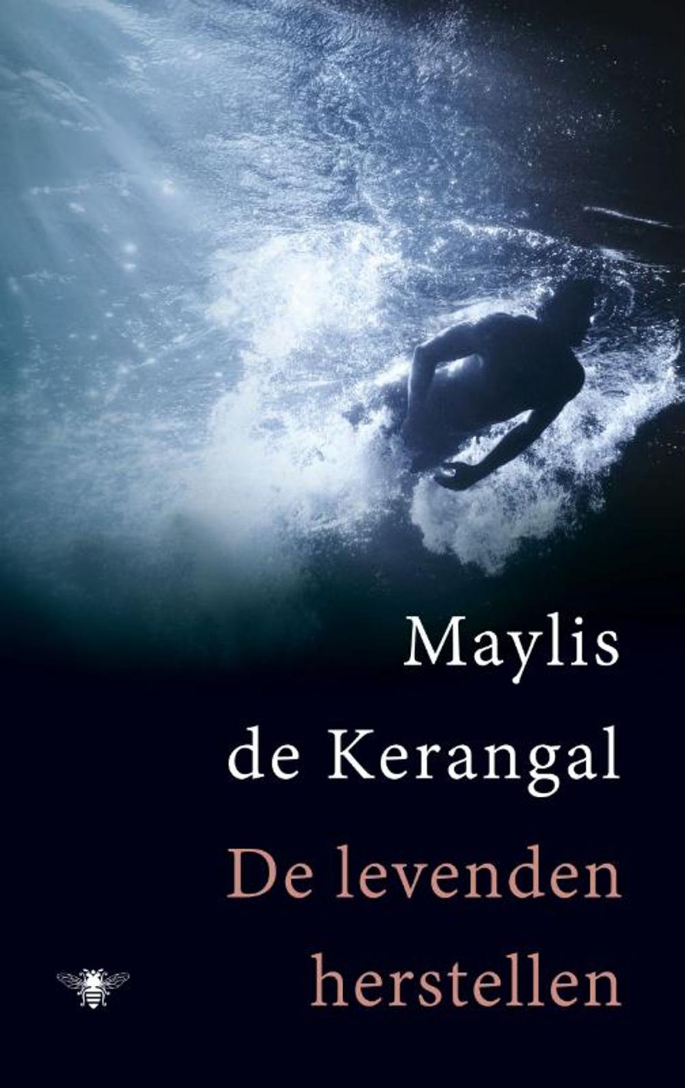 Big bigCover of De levenden herstellen